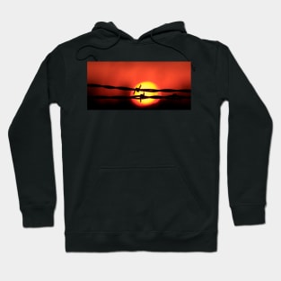 Kansas Sunset with the Sun and a barbwire silhouette. Hoodie